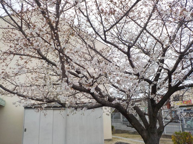 DSCN3781.JPG