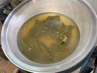 給食の昆布だしです。