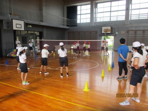 ソフトバレーボール