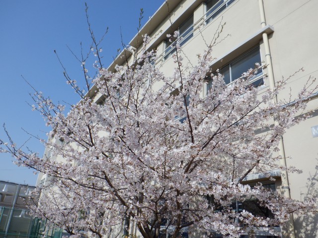 DSCF4306.JPG
