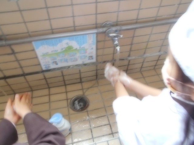 おねがい、おねがい、かめさん♪