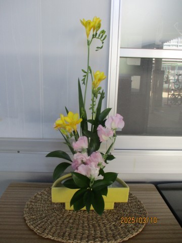 伊藤先生が春のお花を飾ってくれました。