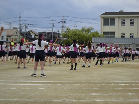 ５年生