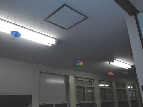 掲示物