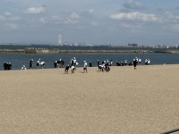 浜辺散策