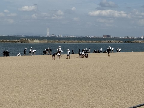 浜辺散策
