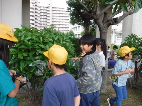 ふくろの取付個所を検討中