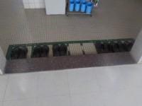 これぞ６年生
