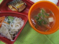 T_LUNCH_PATTERNPhoto.jfif