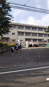 4651122.jpg
