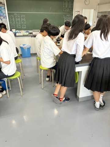 探せ探せ！