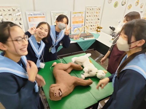 愛玩動物看護師