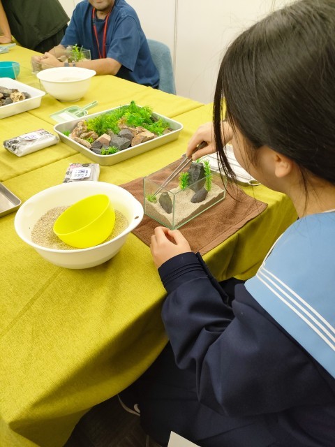 水族館スタッフ