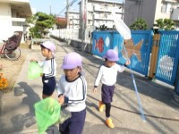 今日も玄関から畑まで虫探しに夢中です。