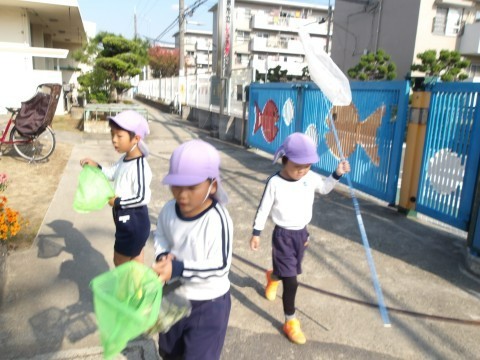 今日も玄関から畑まで虫探しに夢中です。