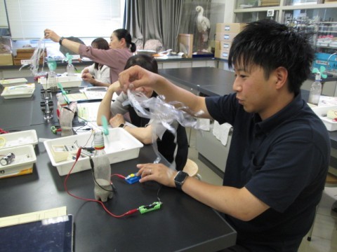 予備実験の様子（並列と直列）