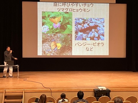 「チョウのハネってどうなっているの？」１