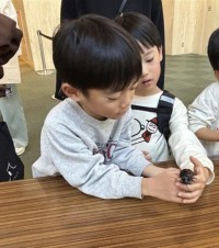 「橿原市昆虫館」昆虫ふれあいコーナー１