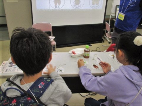 「進化を読み解く！系統樹モビールづくり」１