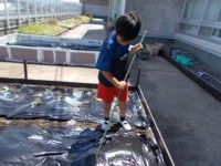 児童が畑に穴をあけている様子