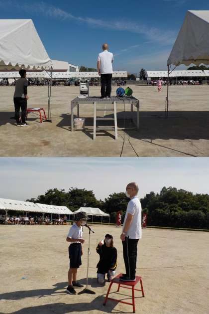 4733246.jpg