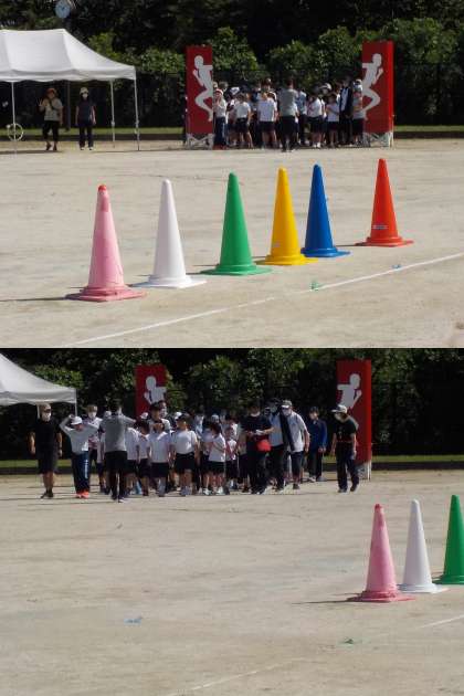 4733361.jpg