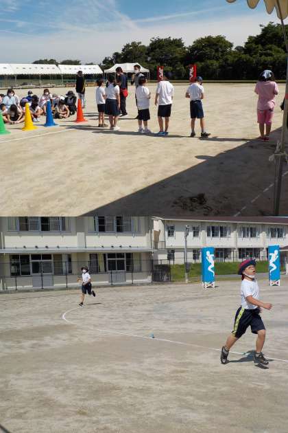 4733362.jpg